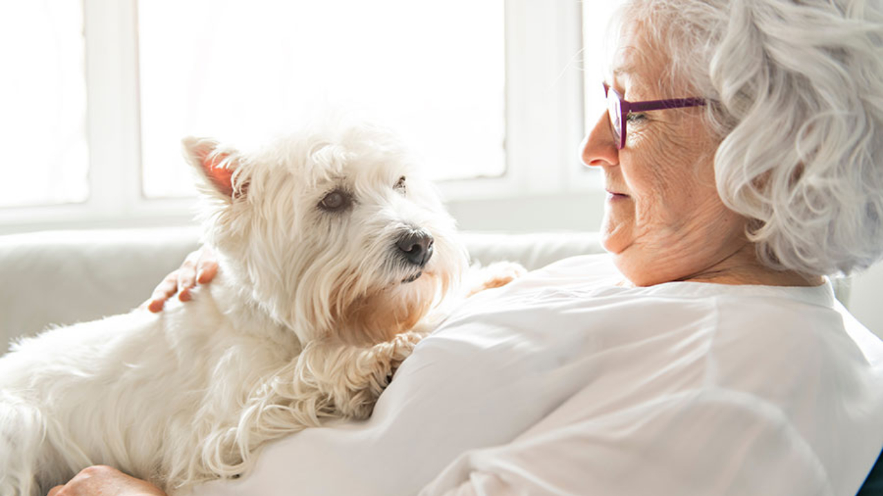 Ältere Dame mit Hund auf dem Bauch
